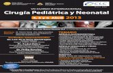 VII CURSO INTERNACIONAL Cirugía Pediátrica y Neonatal