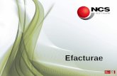 Efacturae - NCS