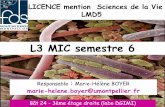 L3 MIC semestre 6 - moodle.umontpellier.fr