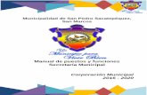 Manual de puestos y funciones Secretaría Municipal ...