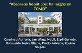 ^Abscesos hepáticos: hallazgos en TCMD