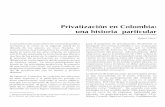 Privatización en Colombia: una historia particular