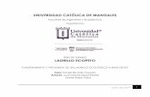 UNIVERSIDAD CATÓLICA DE MANIZALES
