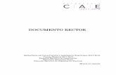 Documento rector - IEDF
