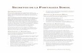 SECRETOS DE LA FORTALEZA SOKOL - ArchiRoleros