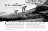 La increíble desaparición de la Amazonia