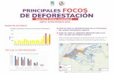 PRINCIPALES FOCOS DE DEFORESTACIÓN