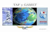TAF y GAMET - CAPEBE