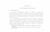 CAPÍTULO III PLANTEAMIENTOS CENTRALES 1. Problematización