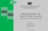 PRODUCCIÓN DE PELLETS DE ALFALFA