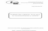 PLAGAS DEL CAFETO. Guía para su reconocimiento y control