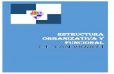estructura ORGANIZATIVA Y funcional