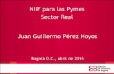NIIF para las Pymes Sector Real Juan Guillermo Pérez Hoyos