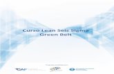 Curso Lean Seis Sigma Green Belt