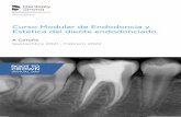 Curso Modular de Endodoncia y Estética del diente ...