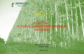 Curso Forestal: PLANTAS DE CALIDAD EN VIVEROS FORESTALES ...