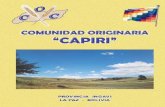 Estatuto de la Comunidad Originaria Capiri