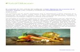 Agrotecnia: Manuales básicos para producción de hortalizas ...