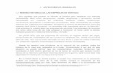 1. ANTECEDENTES GENERALES 1.1 RESEÑA HISTÓRICA DE LAS ...