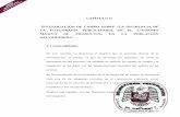 CAPÍTULO II INVESTIGACIÓN DE CAMPO SOBRE “LA INCIDENCIA …