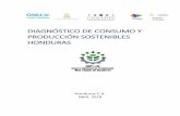 DIAGNÓSTICO DE CONSUMO Y PRODUCCIÓN SOSTENIBLES HONDURAS