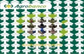 AGROREPORTE AGOSTO 2020 - Agrobanco