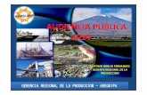 GERENCIA REGIONAL DE LA PRODUCCION -AREQUIPA