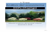 DiCiFo (Chapingo)