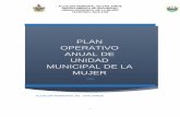 PLAN OPERATIVO ANUAL DE UNIDAD MUNICIPAL DE LA MUJER