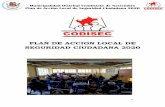 PLAN DE ACCION LOCAL DE SEGURIDAD CIUDADANA 2020