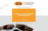 PELUQUERÍA CANINA - Peluqueria canina