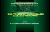 HEMOPARASITOSIS - ENFERMEDADES CAUSADAS GARRAPATAS