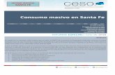 Consumo masivo en Santa Fe - ceso.com.ar