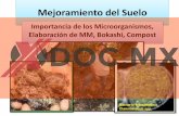 Mejoramiento del Suelo - xdoc.mx