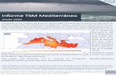 Informe TSM Mediterráneo