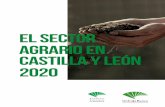El sector agrario en Castilla y León 2020