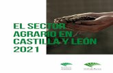 EL SECTOR AGRARIO EN CASTILLA Y LEÓN 2021