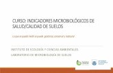 CURSO: INDICADORES MICROBIOLÓGICOS DE SALUD/CALIDAD DE SUELOS