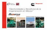 “Oportunidades y Beneficios de la Cogeneración en México”