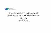 Hospital Veterinario Murcia -Plan estrategico