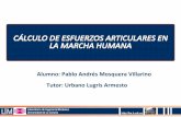 Alumno: Pablo Andrés Mosquera Villarino Tutor: Urbano ...