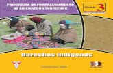 (c) PROEIB Andes PROGRAMA DE FORTALECIMIENTO DE …
