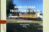 MANEJOS PARA PRODUCCION DE MIEL