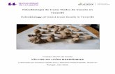 Paleobiología de trazas fósiles de insecto en Tenerife ...