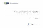 Guía Introductoria para la Versión 24.1 de MedDRA