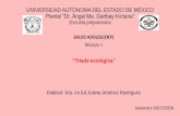 UNIVERSIDAD AUTÓNOMA DEL ESTADO DE MÉXICO Plantel “Dr ...