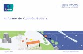 Informe de Opinión Bolivia