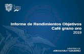 Informe de Rendimientos Objetivos Café grano oro