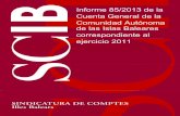 Informe 85/2013 de la Cuenta General de la Comunidad ...