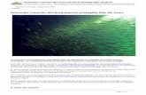 Anuncian creación del área marina protegida Mar de Grau